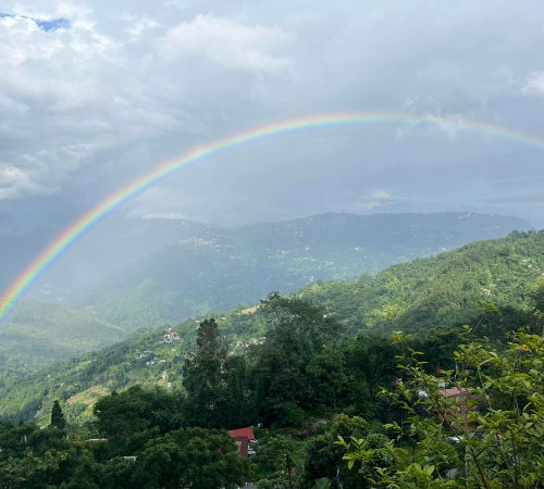 Queen of Hills Darjeeling